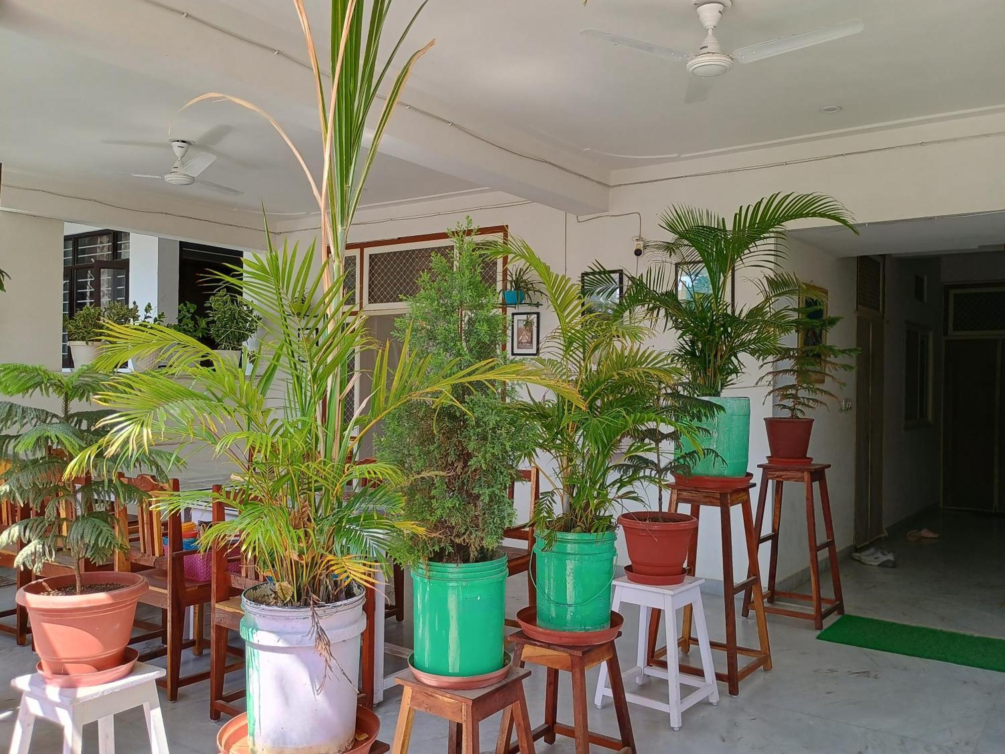 Choudhary White House Udaipur Apartment Exterior foto