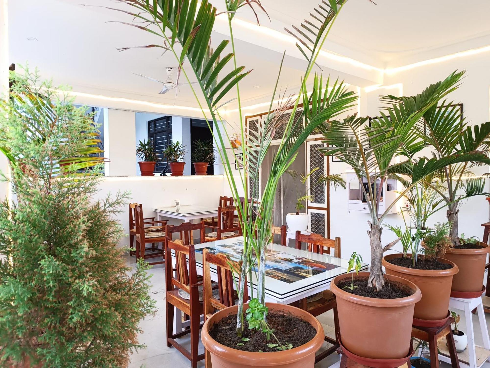 Choudhary White House Udaipur Apartment Exterior foto