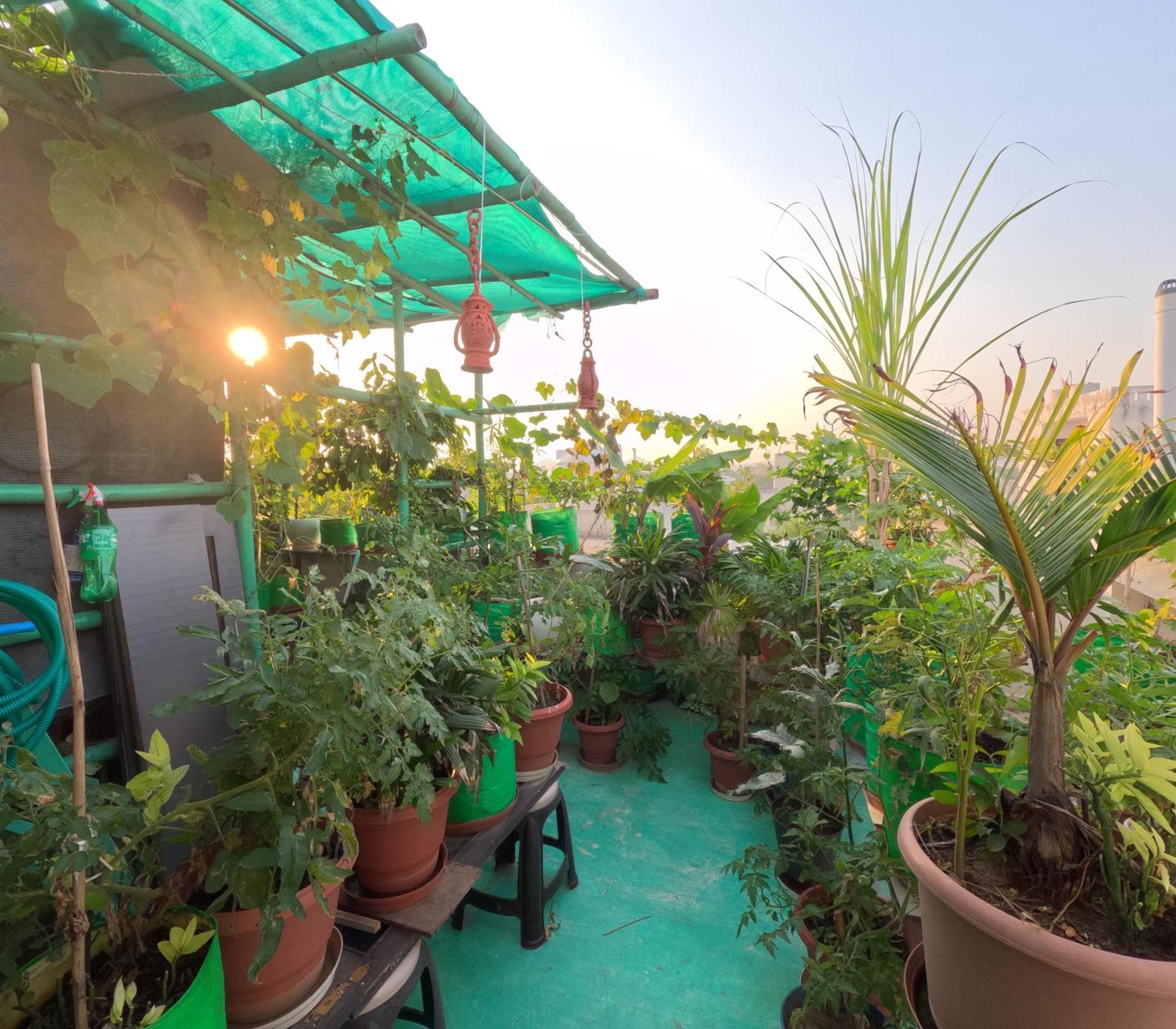 Choudhary White House Udaipur Apartment Exterior foto